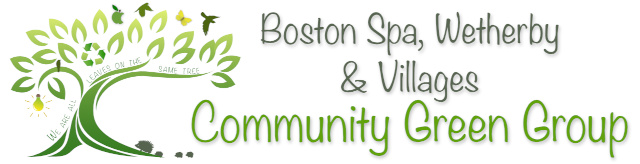 BostonSpaGreenGroupLogo